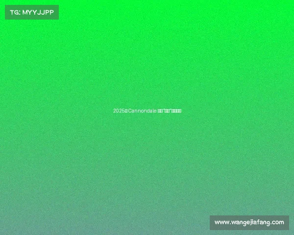 2025款 Cannondale 全新“重型”瓜车发布 2025款 Cannondale 全新“重型”瓜车发布