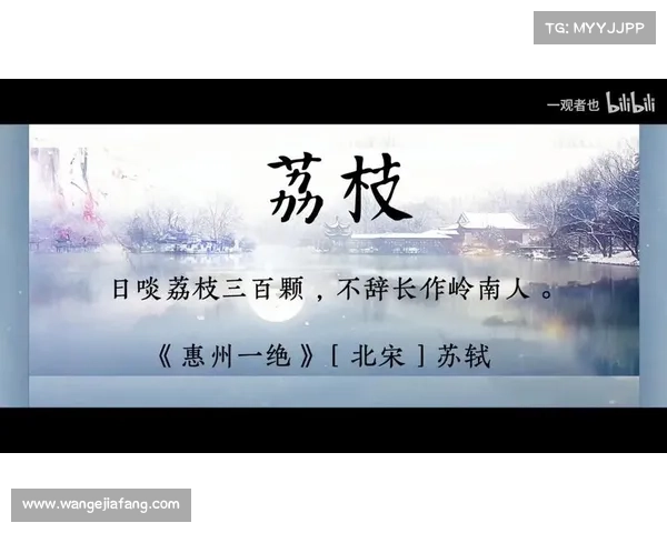 为什么不能“日啖荔枝三百颗”? 为什么不能“日啖荔枝三百颗”?