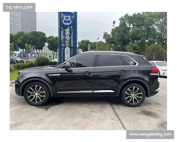 众泰大迈两款新SUV将上市 设计更加抢眼 众泰大迈两款新SUV将上市 设计更加抢眼