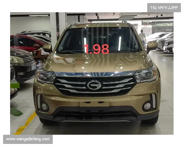传祺Trumpchi 传祺Trumpchi
